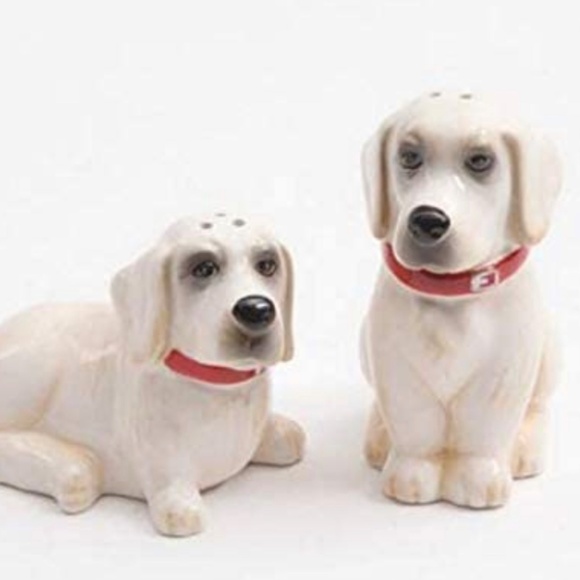 🌺Pre-loved Pioneer Woman Lucy & Duke Labrador Retriever Salt & Pepper Shakers - Picture 4 of 7